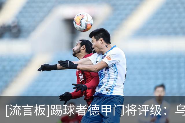[流言板]踢球者德甲门将评级：乌尔比希跻身州际级，诺伊尔国脚级